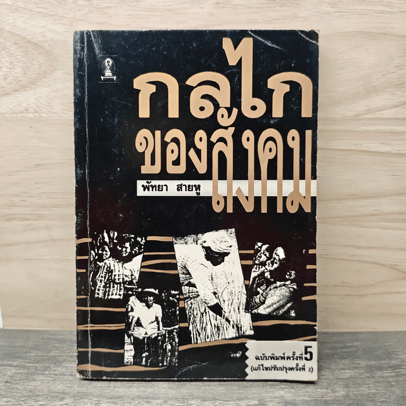 กลไกของสังคม - พัทยา สายหู รูปที่ 1
