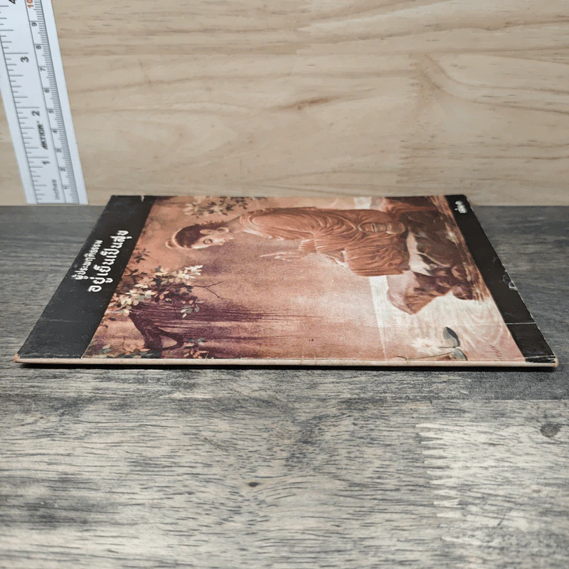 ผู้ประพฤติกรรม อยู่เย็นเป็นสุข เล่ม 1 - แพรเยื่อไม้ รูปที่ 2