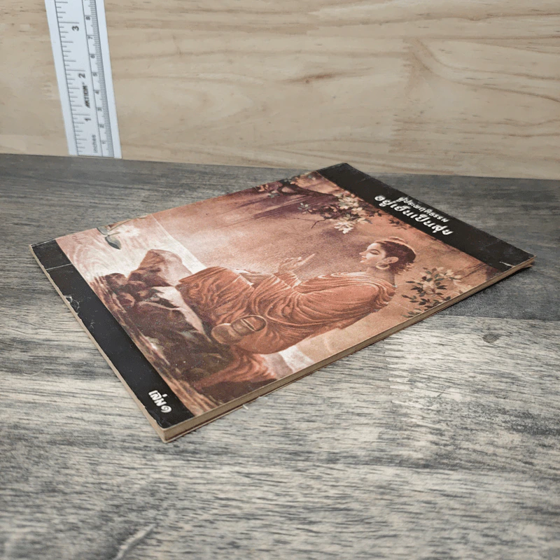 ผู้ประพฤติกรรม อยู่เย็นเป็นสุข เล่ม 1 - แพรเยื่อไม้ รูปที่ 3
