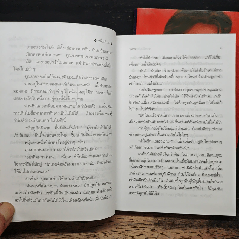 เหลี่ยมวิมาน 2 เล่มจบ - พัดชา รูปที่ 8
