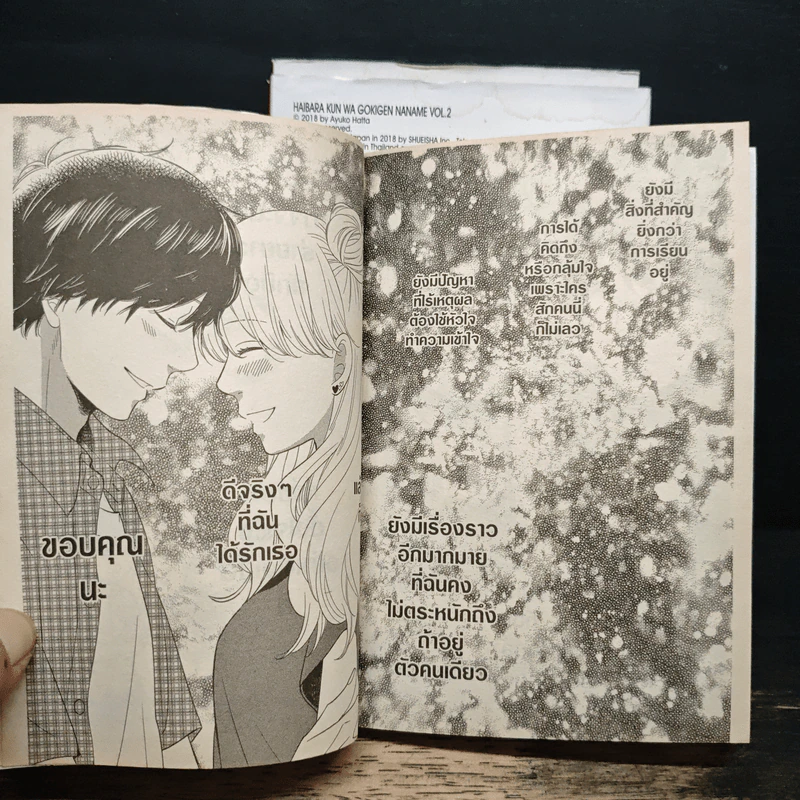 รักวุ่นวายกับไฮบาระคุงคนหน้าหงิก 3 เล่มจบ - Ayuko Hatta รูปที่ 9