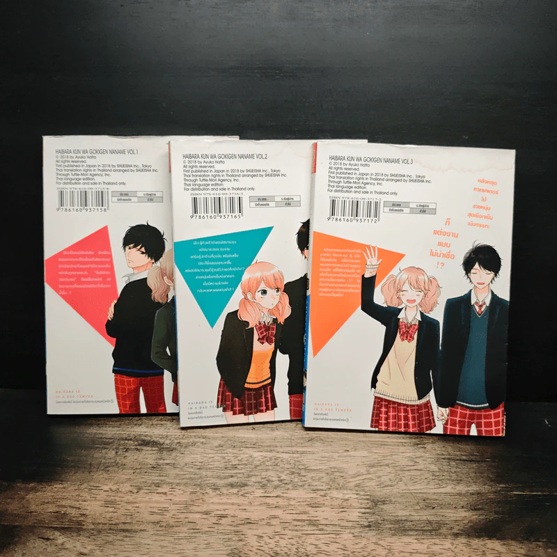 รักวุ่นวายกับไฮบาระคุงคนหน้าหงิก 3 เล่มจบ - Ayuko Hatta รูปที่ 2