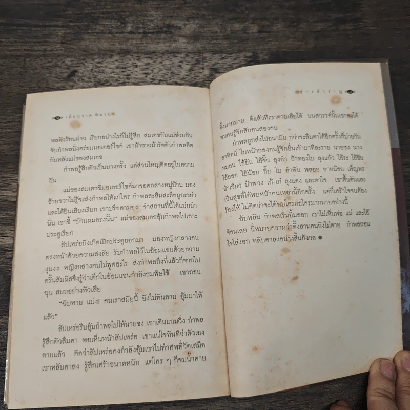 ช่างสำราญ - เดือนวาด พิมวนา รูปที่ 8