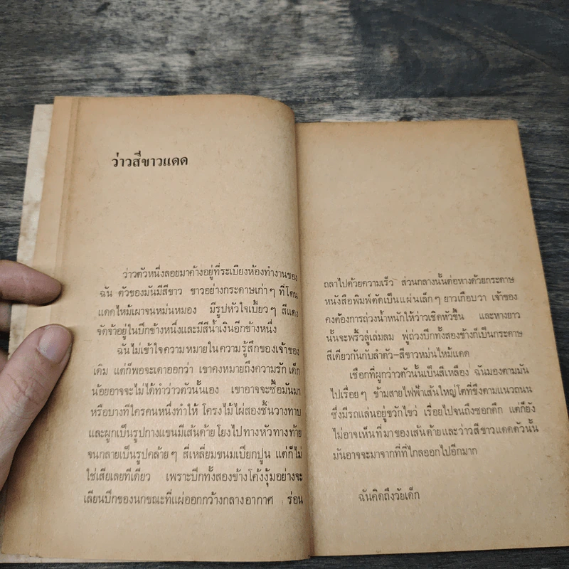 เพลงนกเหยี่ยว - มกุฏ อรฤดี รูปที่ 7