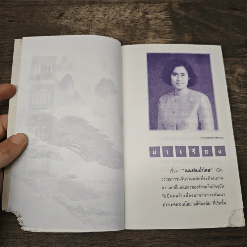 เมฆเหินน้ำไหล - สมเด็จพระเทพรัตนราชสุดาฯสยามบรมราชกุมารี รูปที่ 6