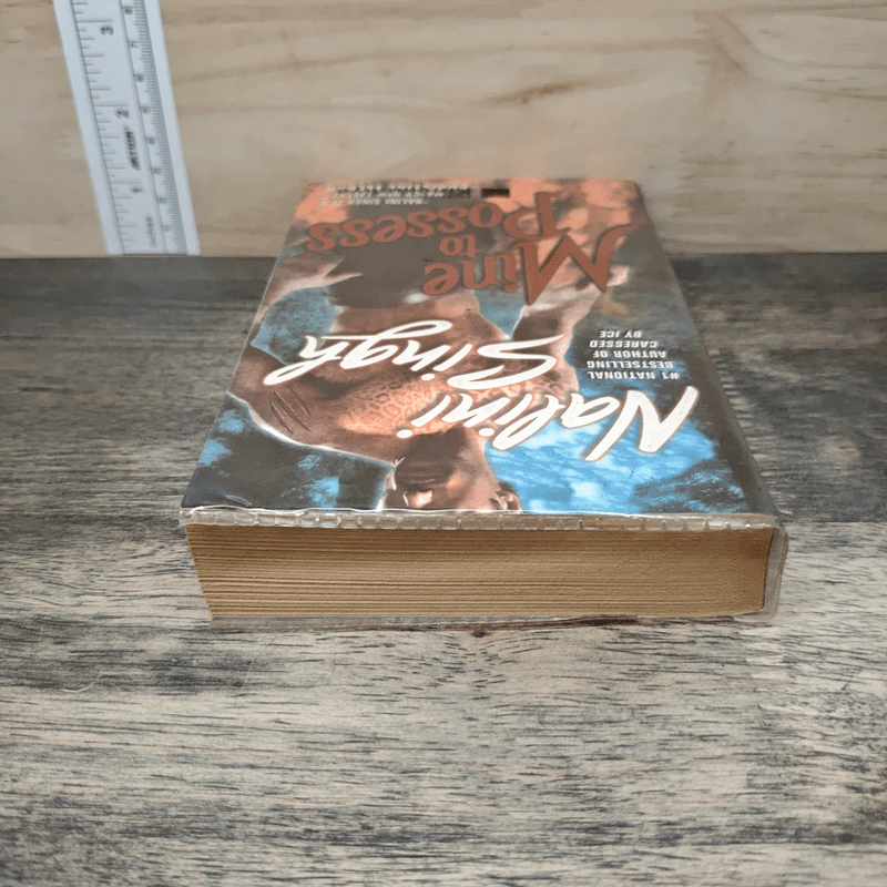 Mine to Possess - Nalini Singh รูปที่ 4