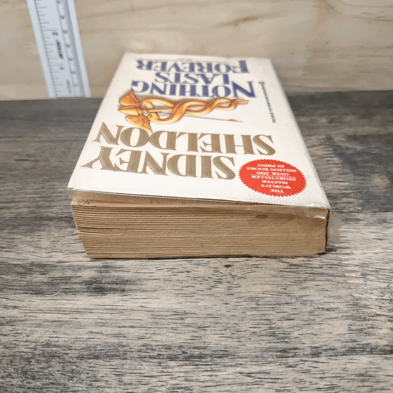 Nothing Lasts Forever - Sidney Sheldon รูปที่ 4