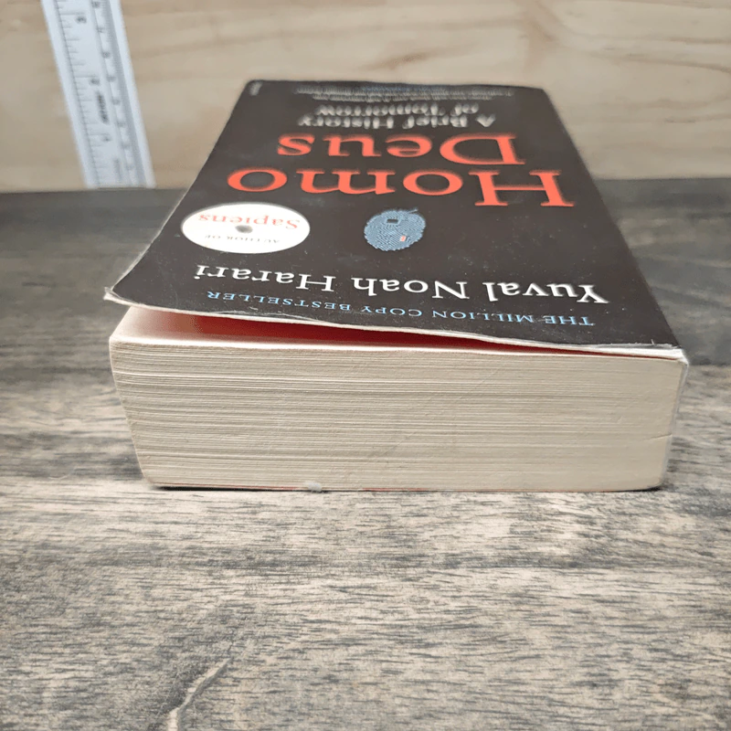 Homo Deus: A Brief History of Tomorrow - Yuval Noah Harari รูปที่ 4
