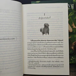 Lincorn Diary ลินคอร์น ไดอะรี - กัลฐิดา รูปที่ 11