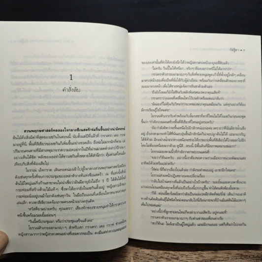 เซวีน่า มหานครแห่งมนตรา 5 เล่มจบ BOXSET - กัลฐิดา รูปที่ 12