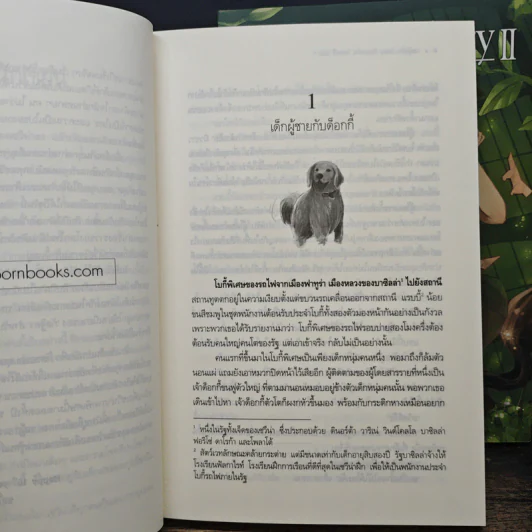 Lincorn Diary ลินคอร์น ไดอะรี - กัลฐิดา รูปที่ 11