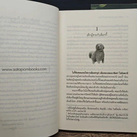 Lincorn Diary ภาคพิเศษของเซวีน่ามหานครแห่งมนตรา 2 เล่มจบ - กัลฐิดา รูปที่ 7