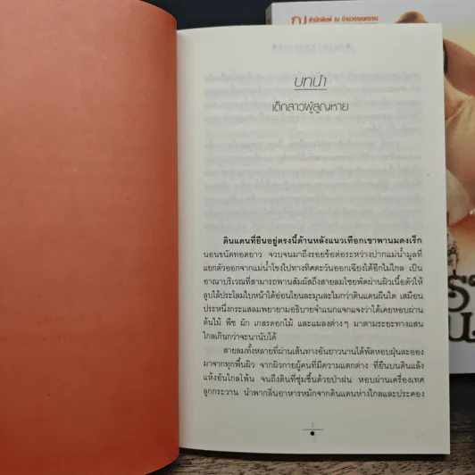 จันทราอุษาคเนย์ 2 เล่มจบ - วรรณวรรธน์ รูปที่ 7
