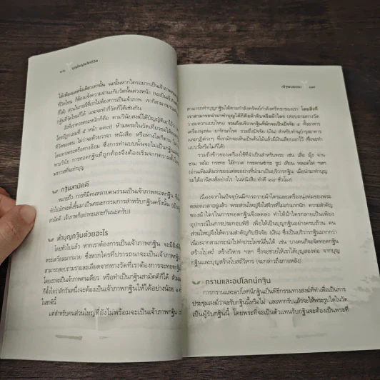 บุญใหญ่พลิกชีวิต - ณัฐพบธรรม รูปที่ 9
