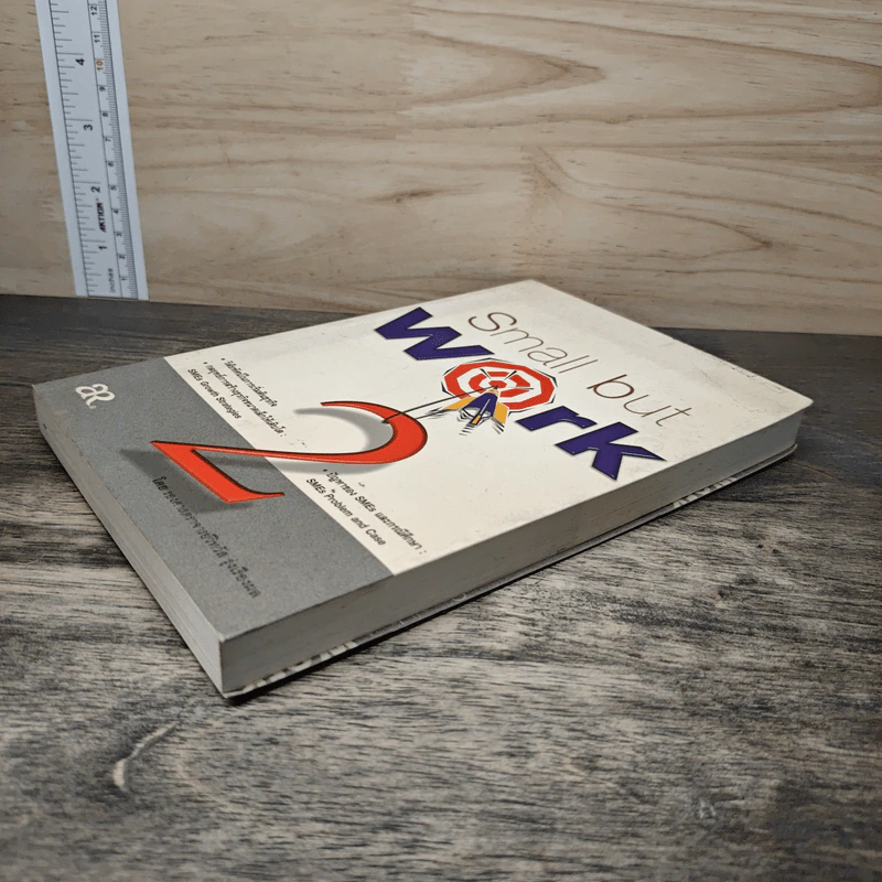 Small but work 2 - รองศาสตราจารย์วิทวัส รุ่งเรืองผล รูปที่ 3