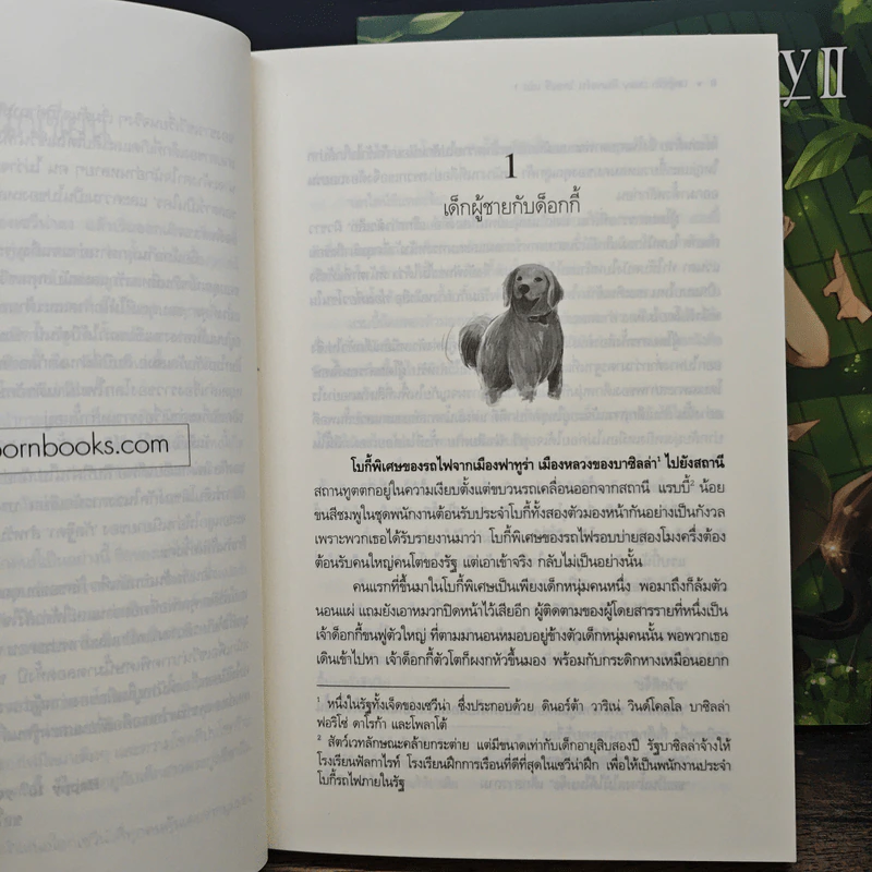 Lincorn Diary ลินคอร์น ไดอะรี - กัลฐิดา รูปที่ 11
