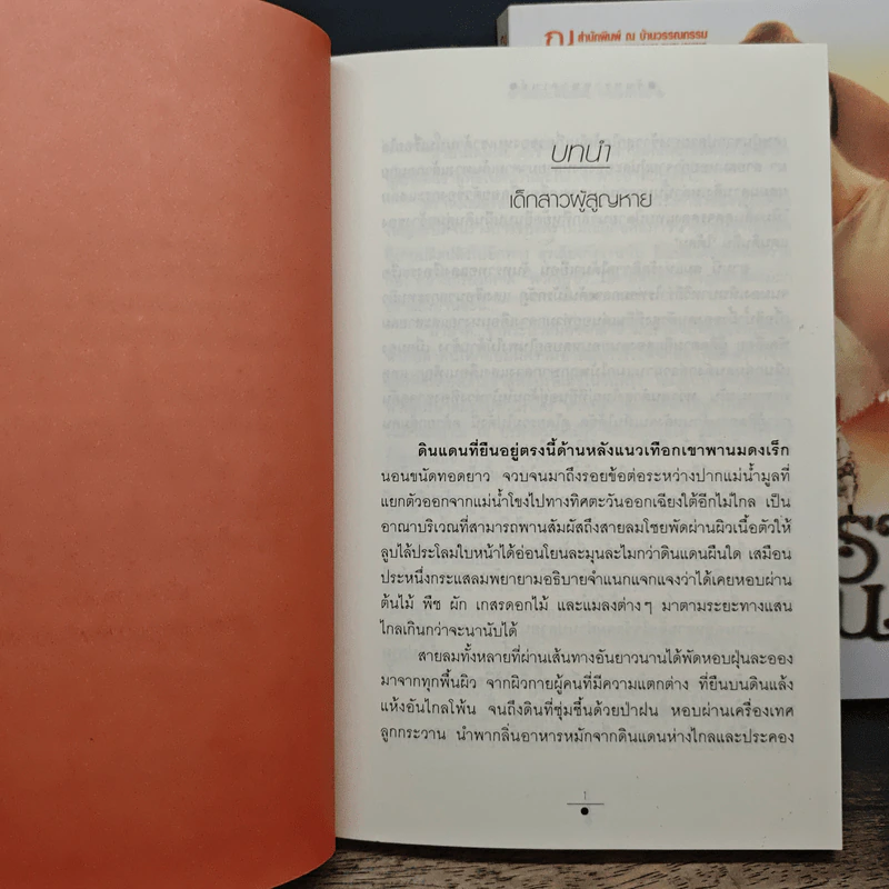 จันทราอุษาคเนย์ 2 เล่มจบ - วรรณวรรธน์ รูปที่ 7