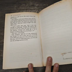 A Little Princess - Frances Hodgson Burnett รูปที่ 8