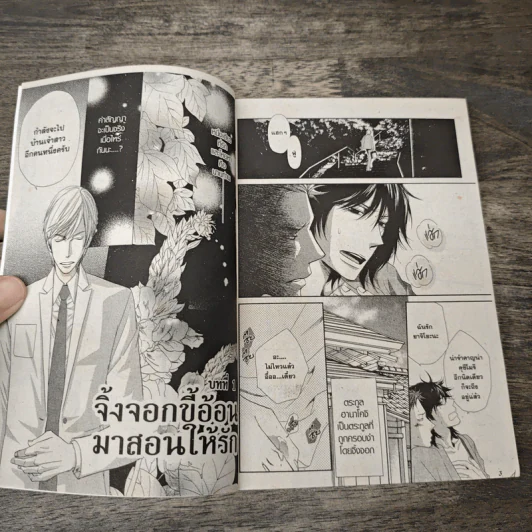 จิ้งจอกขี้อ้อน มาสอนให้รัก - IMA SASAKI รูปที่ 6