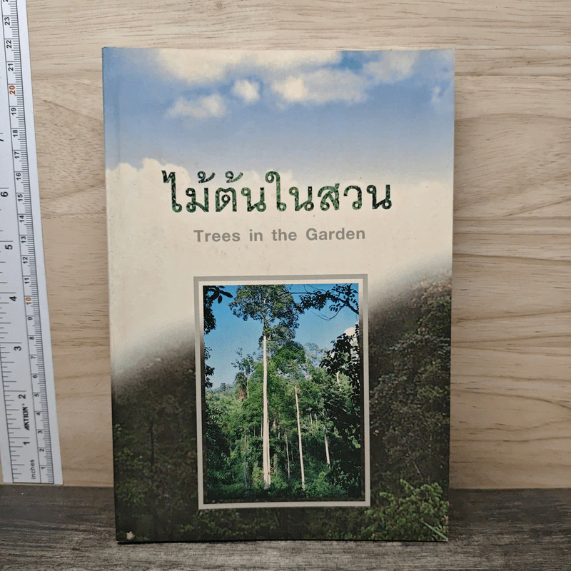 ไม้ต้นในสวน รูปที่ 1