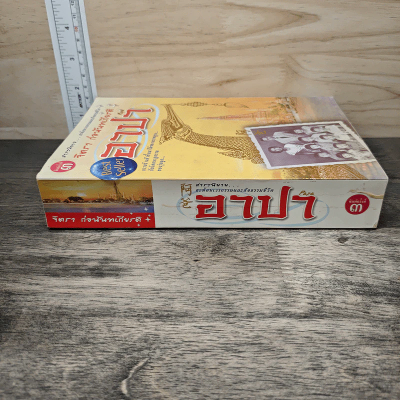 อาปา - จิตรา ก่อนันทเกียรติ รูปที่ 2