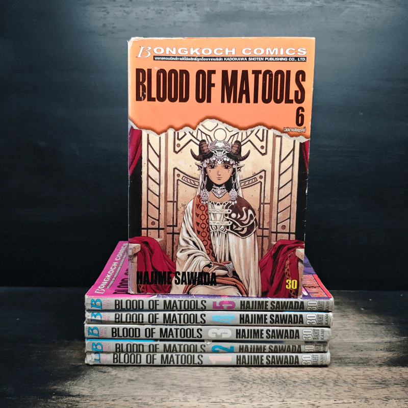 Blood of Matools 6 เล่มจบ รูปที่ 1