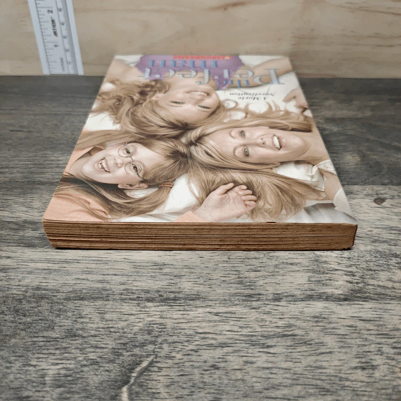 The Perfect Man (A Movie Novelization) รูปที่ 4