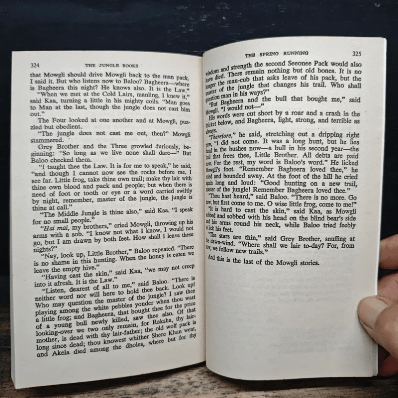 The Jungle Books - Rudyard Kipling รูปที่ 9