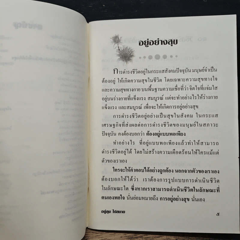 อยู่อย่างไร...ให้มีความสุข รูปที่ 7