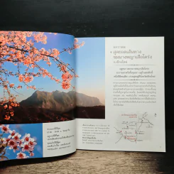 12 เดือน 7 ดาว 9 ตะวัน มหัศจรรย์เมืองไทยต้องไปสัมผัส รูปที่ 9