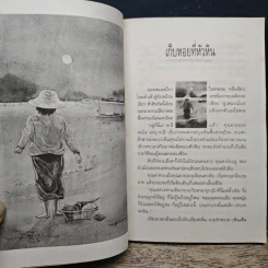 อยากให้เป็นอย่างนี้ทุกวัน - นิรมล เมธีสุวกุล รูปที่ 8