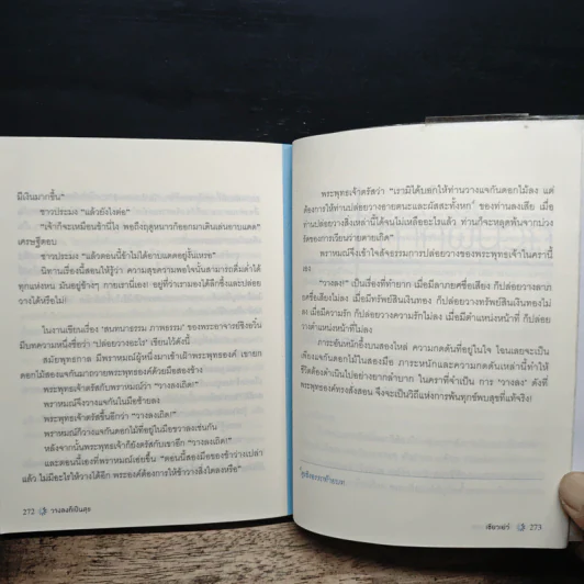 วางลงก็เป็นสุข Just let it go - เซียวเย่ว์ รูปที่ 10