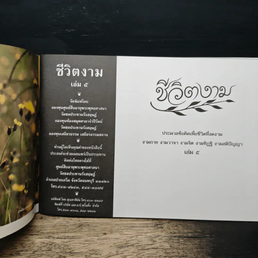 ชีวิตงาม เล่ม 5 รูปที่ 6