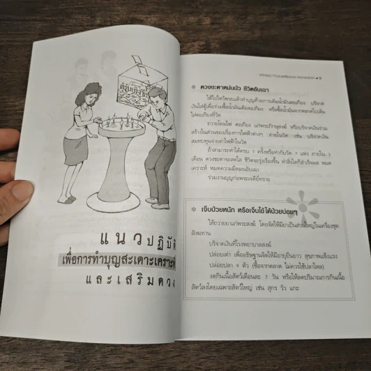 แก้กรรม ทำบุญเสริมดวง สะเดาะเคราะห์ - ไชยา บุญพิทักษ์ รูปที่ 8