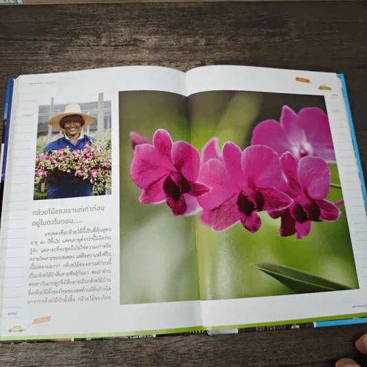 12 ศักยภาพจังหวัดนครปฐม รูปที่ 9