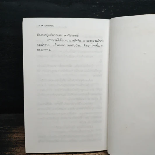 แดดหนาว - สุจินดา ขันตยาลงกต รูปที่ 9