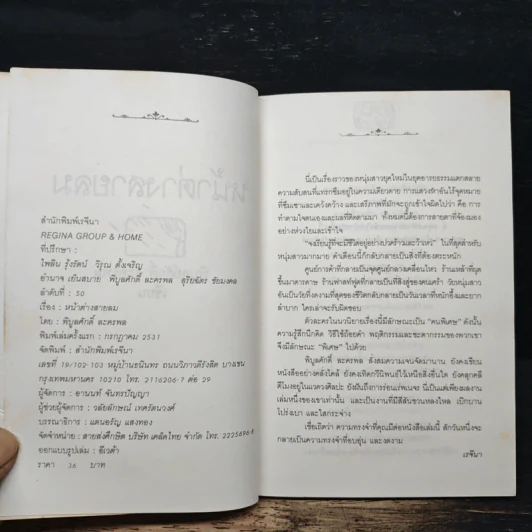 หน้าต่างสายลม - พิบูลศักดิ์ ละครพล รูปที่ 6