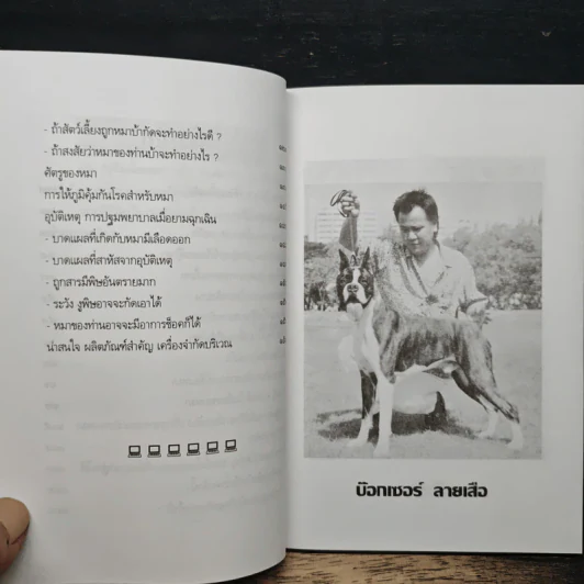 คู่มือ เลี้ยงหมา รูปที่ 8
