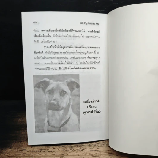คู่มือ เลี้ยงหมา รูปที่ 10