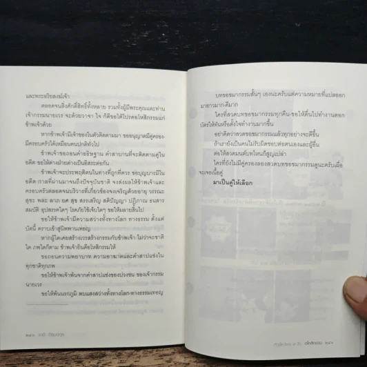 ทัวร์ไหว้พระ 9 วัด อโหสิกรรม - ชาติ ภิรมย์กุล รูปที่ 9