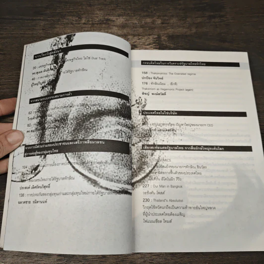 พิษทักษิณ - ภิญโญ ไตรสุริยธรรมา รูปที่ 7