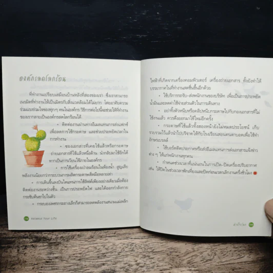 Balance Your Life สมดุลกาย สมดุลใจ ห่วงใยโลก รูปที่ 11