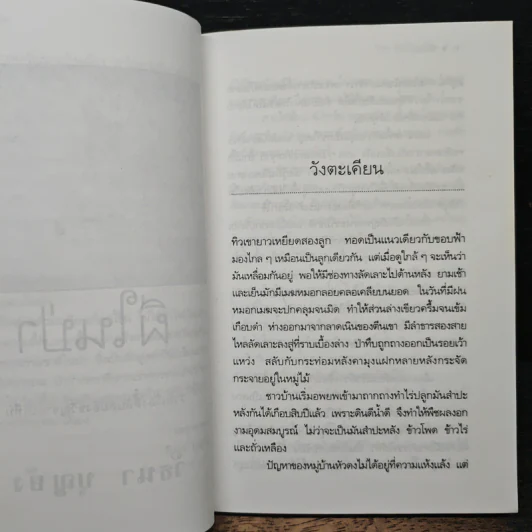 ผีในป่า - วัธนา บุญยัง รูปที่ 7