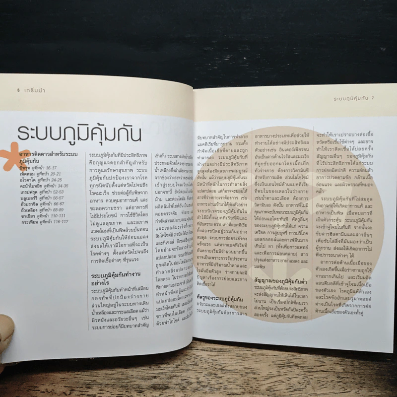 100 สุดยอดอาหารกระตุ้นพลังภูมิคุ้มกัน รูปที่ 7
