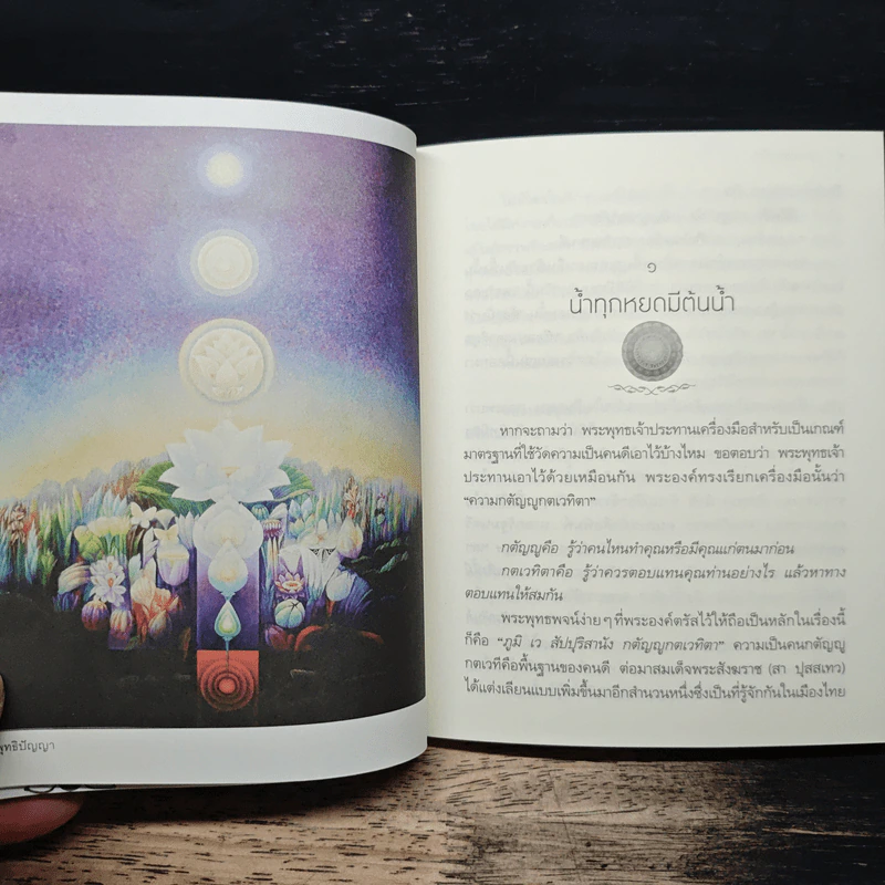 ธรรมะติดปีก - ว.วชิรเมธี รูปที่ 8