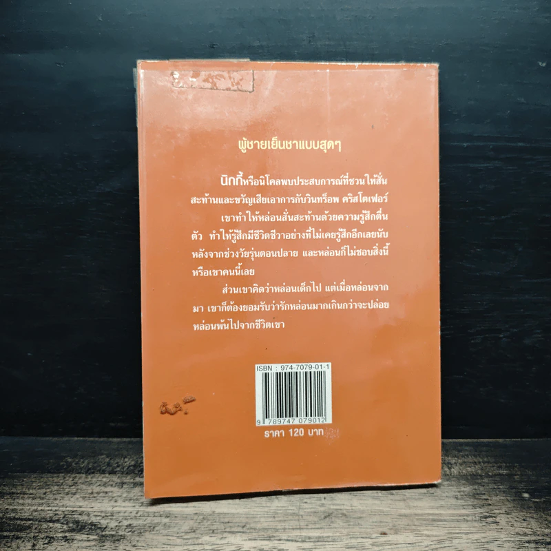 สุภาพบุรุษเถื่อน - อารตี รูปที่ 2