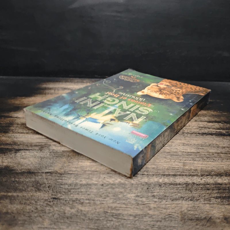 นิมิตมรณะ Visions of Heat - Nalini Singh รูปที่ 5