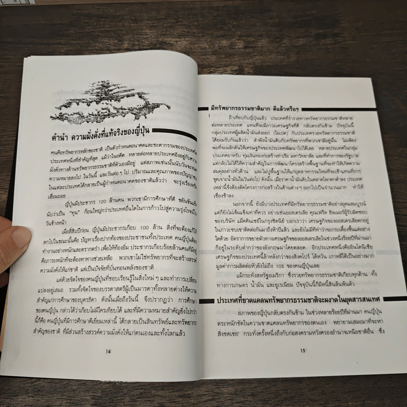 ธุรกิจไร้พรมแดน - เคนอิจิ โอมาเอะ รูปที่ 8