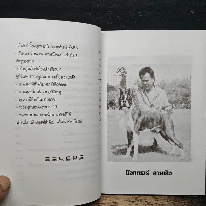 คู่มือ เลี้ยงหมา รูปที่ 8