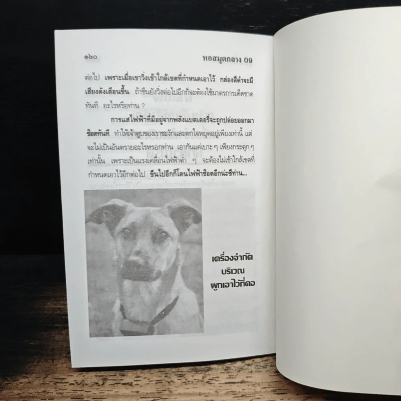 คู่มือ เลี้ยงหมา รูปที่ 10